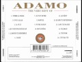 Adamo - C'est ma vie.flv 