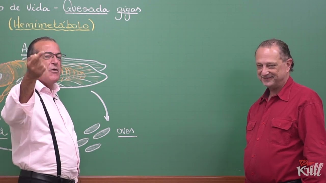 Ciclo da Vida e Números Primos