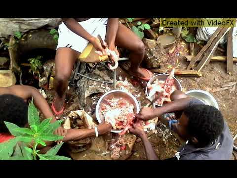 ghetto mazatii "alex-parfum