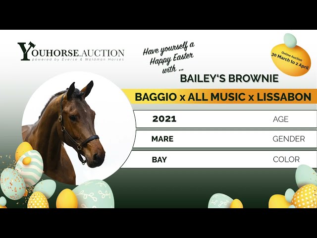 Bailey‘s Brownie