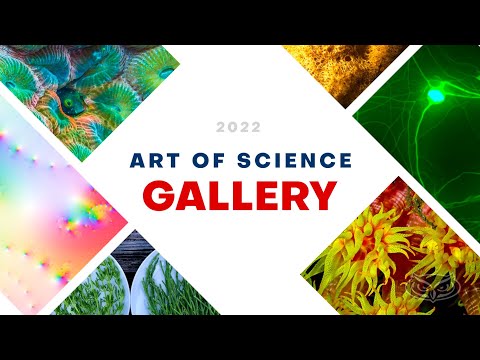 Galeria de Arte da Ciência 2022