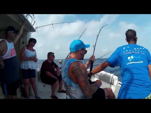 download lagu mp3 mp4 Cabo Verde Tuna, download lagu Cabo Verde Tuna gratis, unduh video klip Cabo Verde Tuna