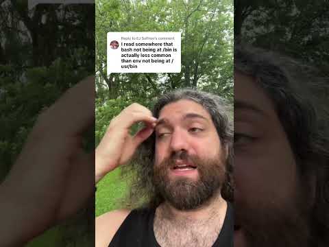 why i use bash env shebang over hardcoding /bin/bash.