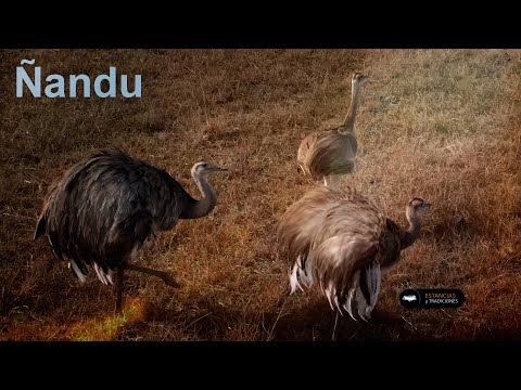 258 Las Isletas (San Luis) - Ranches and Traditions