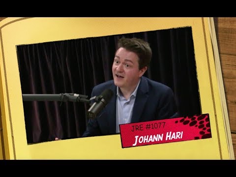 Sean Webb Answers Joe Rogan - Johann Hari Episode