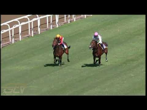 20210502 Hollywoodbets Greyville Gallop by BELGARION AND JET DARK