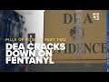 'Pills of poison': DEA warns to look out for fentanyl, meth when buying pills online (Part 2)