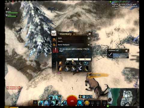 GW2 Squaters playing (First time in game) CZ