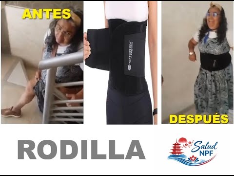 Rodilla