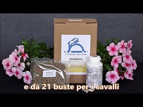 Dopo articolazioni sonno click Ricorre malattie articolari