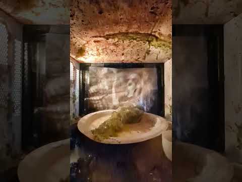 Relish vs Microwave #experiment #funny #fire
