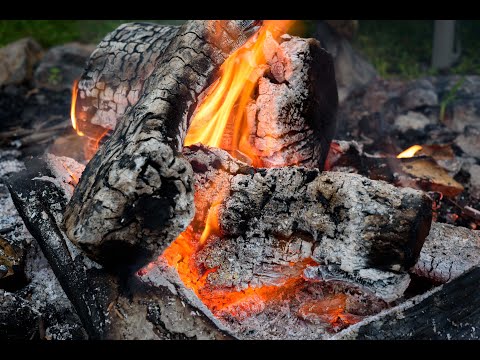 Crackling Fire in Nature sound for Sleeping, Relaxing, Stress Relief, Meditation, Studying | 3 Hours