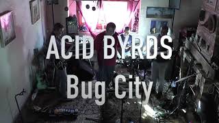 Acid Byrds - Bug City (Presidents of the U.S.A. Cover)