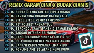 Download lagu REMIX GARAM CINA X BUDAK CIAMIS KULIAH DIPALEMBANG | REMIX PALEMBANG X REMIX LAMPUNG  VIRAL TIKTOK mp3