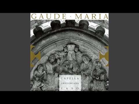 Alleluia: Tota Pulchra