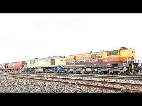 C504-C507-4911-4532 (Grain) Gheringhap - Australian Trains by Raysha1811