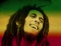 Bob Marley - Girl I Want To Make You Sweat 