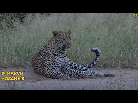 The Cat Report: 17 - 23 March 2018