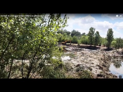 ACTUALIZARE | Administrația Parcului Natural Lunca Mureșului: „S-a considerat oportună intervenția pentru decolmatare şi curăţire a Lacului Măltăreț. Nu au fost evidențiate abateri de la solicitările exprimate de către administrație cu privire la lucrările efectuate”