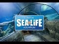 SEA LIFE London Aquarium