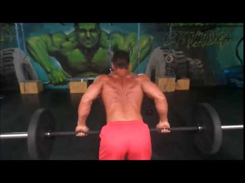 Vladica Jovanović trening za Arnold Classic 2015