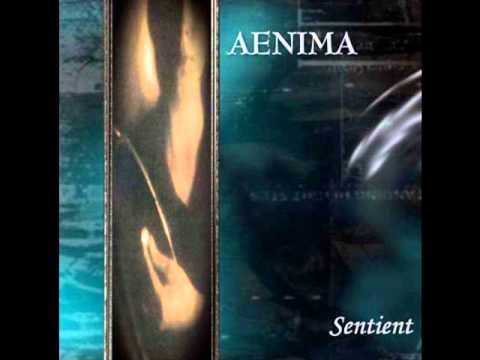 Aenima - Silently There