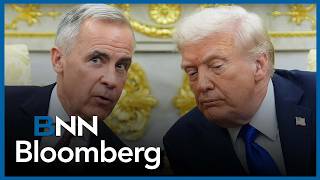 'Ideally we want to mend the trading relationship with the U.S. as much as possible': Economist