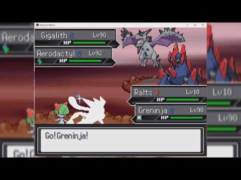 Pokemon Reborn easiest gym leader(Hardy 17th badge)