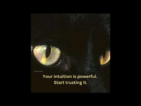 Lady Gaga - Government Hooker (D00nik Remix ULTRA EXTENDED)