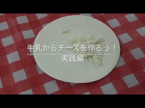 2021夏休み科学体験教室　テーマ12　「キッチンで簡単実験」（チーズを作ろう）｜明星大学