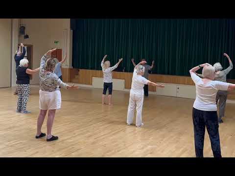 Tai Chi practice video 1
