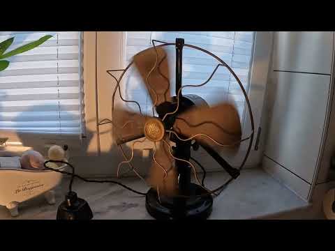 Max Levy Berlin um 1930