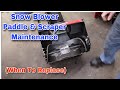 When Do You Replace Your Paddles And Scraper