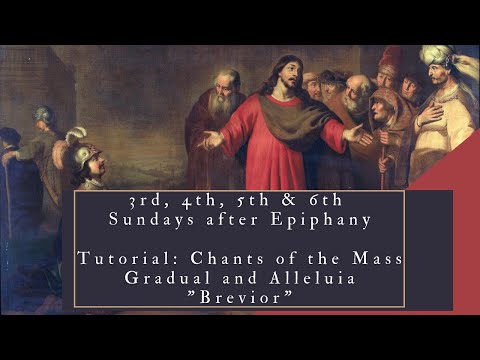 3rd, 4th, 5th, 6th Sundays after Epiphany - Gradual and Alleluia "Brevior" (Tutorial)