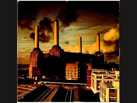'Sheep'  Pink Floyd.flv