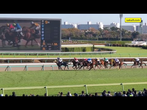 グランデマーレ 葉牡丹賞 レコード 中山競馬場 現地撮影