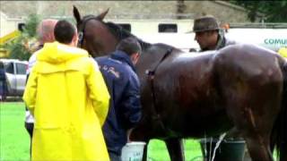 01.Cos&#39;è l&#39;Endurance (Trailer) - Unbreakable - Celesty