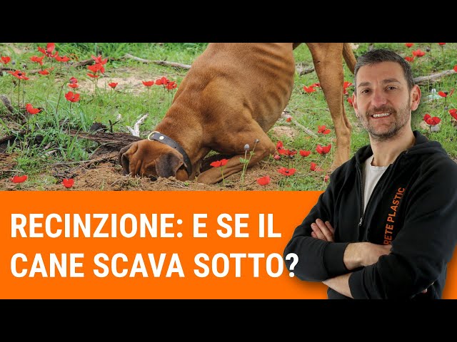 Recinzione: E se il cane scava sotto?