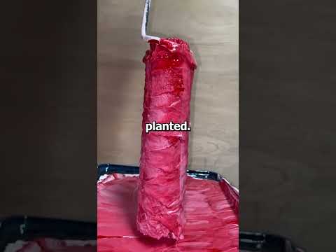 What is the best revenge you've dished out?