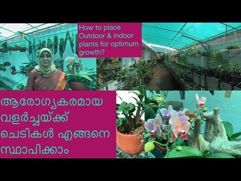 How to place outdoor and indoor plants for optimum growth |Garden tour part1| Varieties of orchids