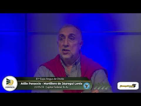 22-05-24 - Atilio Panaccio - Martillero de Jáuregui Lorda - 81º Expo. Angus Otoño