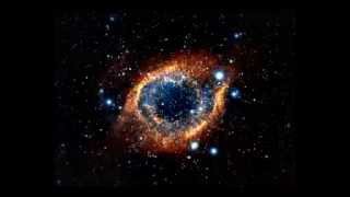 Rocco -  Roots 4 Acid