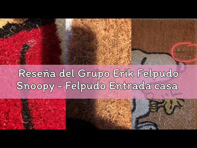 Vídeo relacionado con Grupo Erik Felpudo Snoopy - Felpudo Entrada casa Originales : Tapete Entrada casa, Snoopy Regalos : Decoracion hogar | Alfombra de Fibra de Coco Antideslizante e Impermeable (40x60cm)