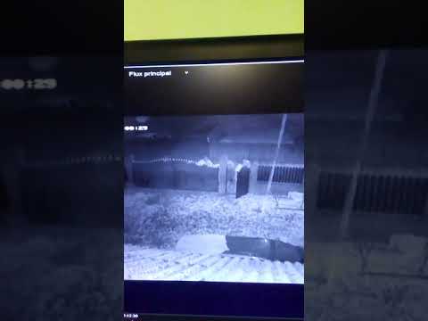 Satul sub teroarea golanilor, sediul Poliției stă încuiat