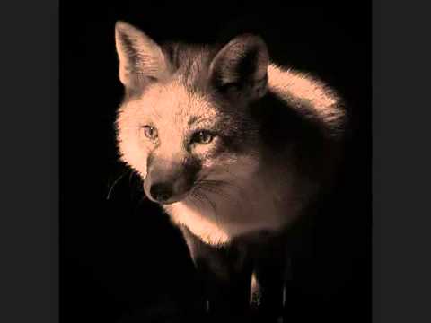 Ougenweide   Der Fuchs