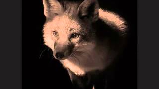 Der Fuchs Music Video