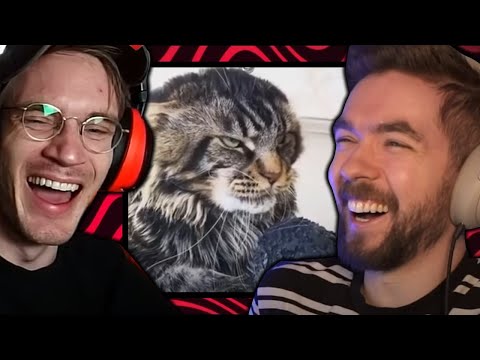 Try Not Laugh, But Loser has to Sing *ft Jackepticeye - YLYL #0074