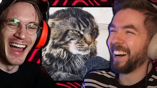 The way Sean goes along with Felix's banter with the gravelly voice is so wholesome. - Try Not Laugh, But Loser has to Sing *ft Jackepticeye - YLYL #0074
