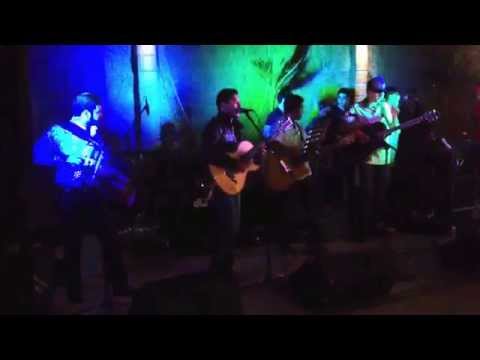 Toro encartado Grupo Fernandez FT Ariel Camacho