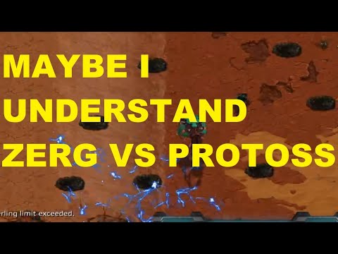 THIS IS HOW YOU BEAT PROTOSS